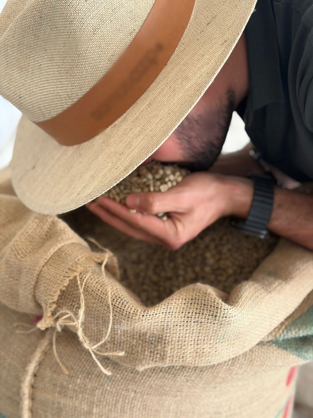 Mãos selecionando grãos de café verdes antes da torra